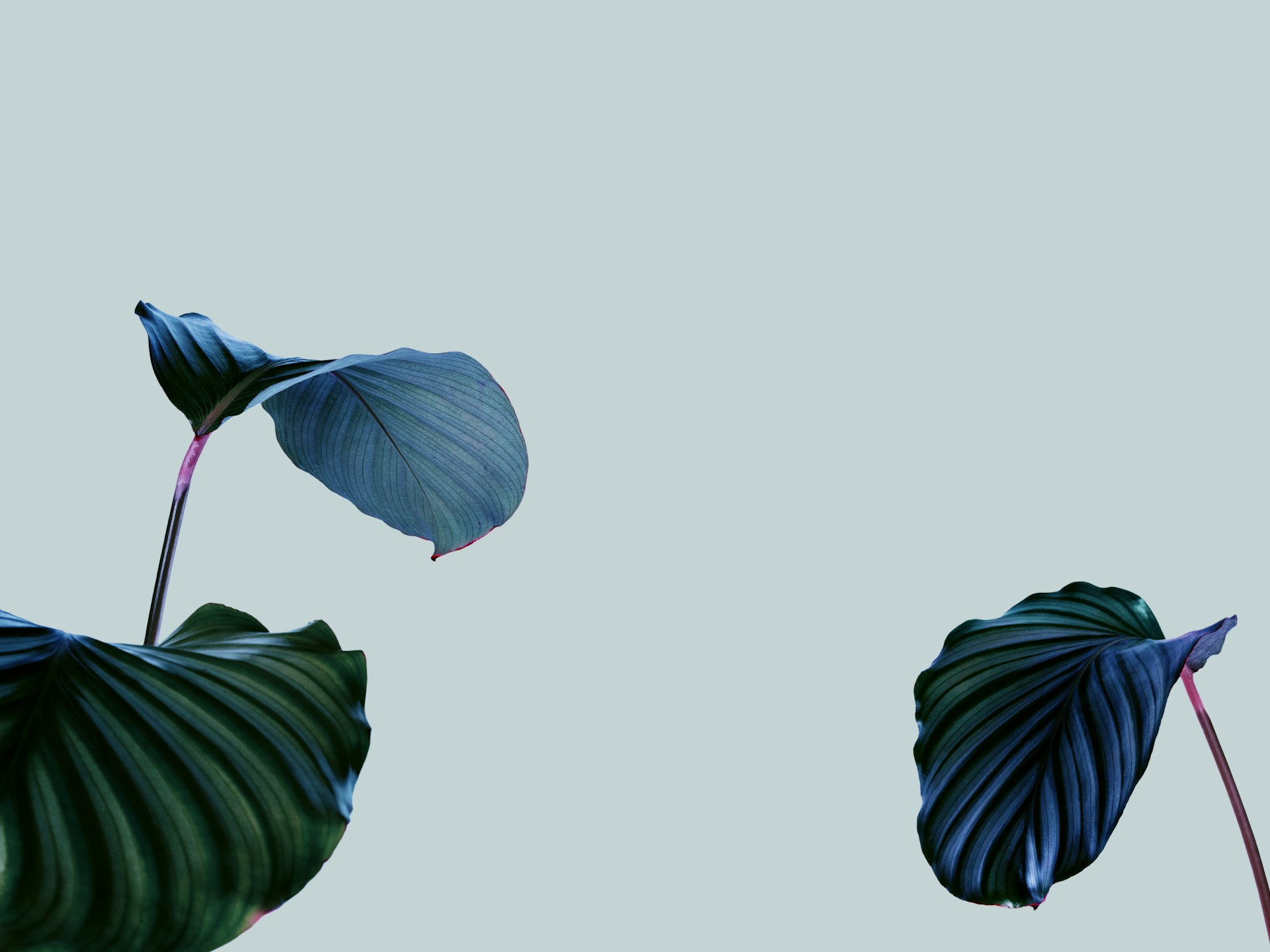 Image default